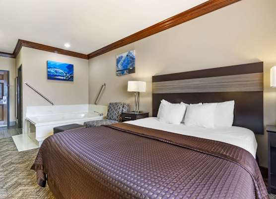 Best Western Fort Worth Inn & Suites 1