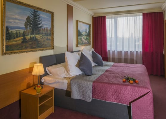 TOP HOTEL Praha 1