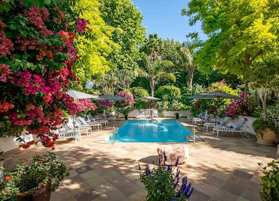 Last Word Constantia 1