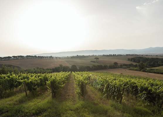 Agriturismo Cappellese 1