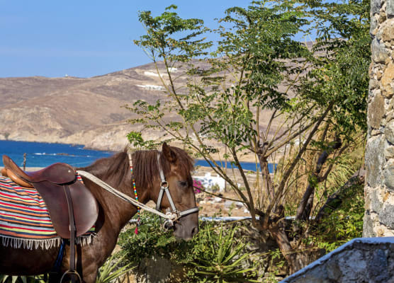Anamar Mykonos 1