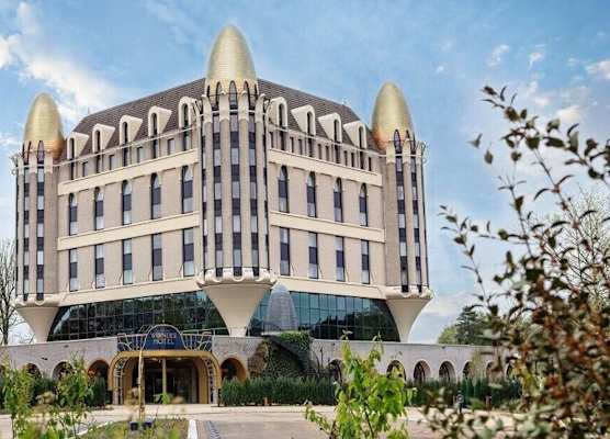 Efteling Wonder Hotel - Theme Park tickets included 1