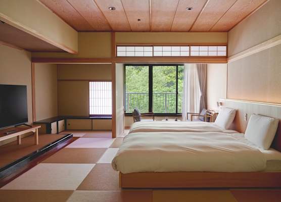 Hakone Pax Yoshino 1