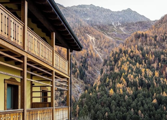 Mirtillo Alpino Casa Vacanze 1