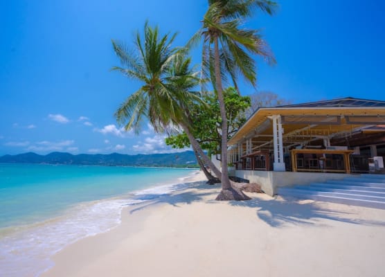Chaweng Regent Beach Resort 1