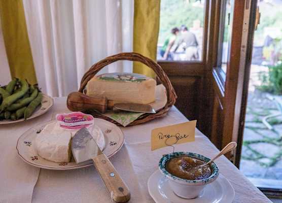 Agriturismo Villa Di Campolungo 1