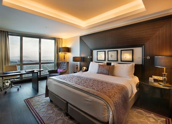 Dedeman Bostanci Istanbul Hotel & Convention Center 1