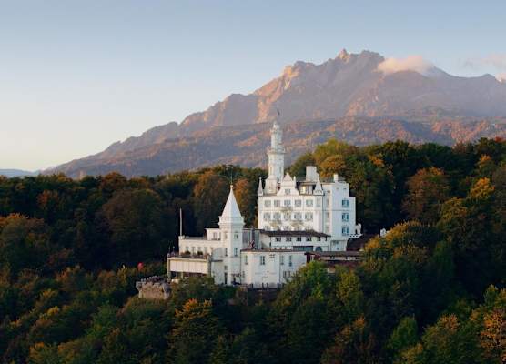 Château Gütsch 1