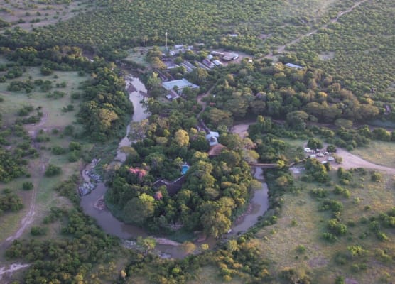 Fig Tree Camp 1