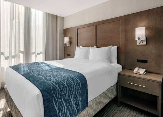 Comfort Inn & Suites Downtown Brickell - Port of Miami 1