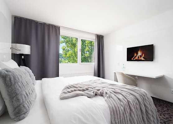 MICE Collection Hotel Trier Business- und Stadthotel an der Mosel nahe SWT Arena und Viking Anleger 1