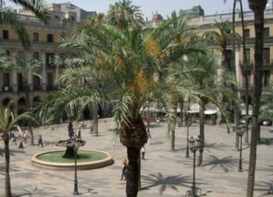 Roma Reial 1