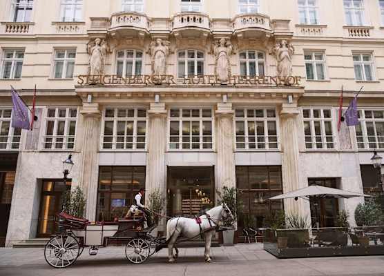 Steigenberger Hotel Herrenhof 1