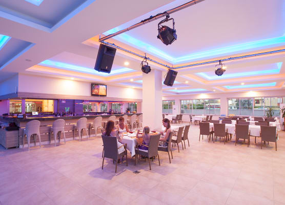 Catty Cats Garden Hotel 1