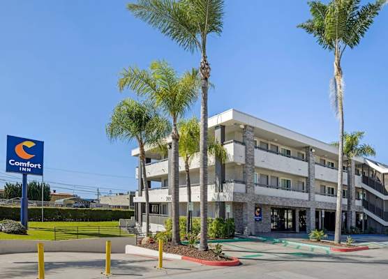 Comfort Inn Sea World Area 1