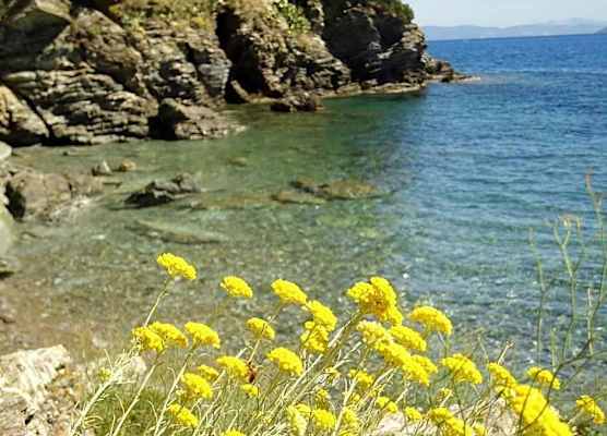 Hotel Rio Sul Mare 1