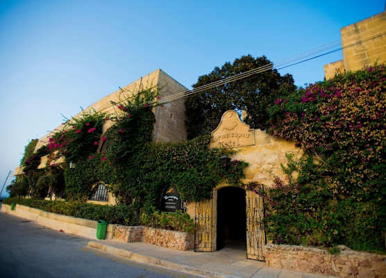 Cornucopia Hotel 1