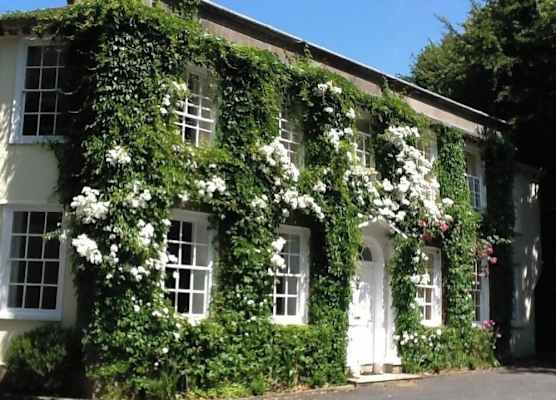 Rose in Vale Country House Hotel 1