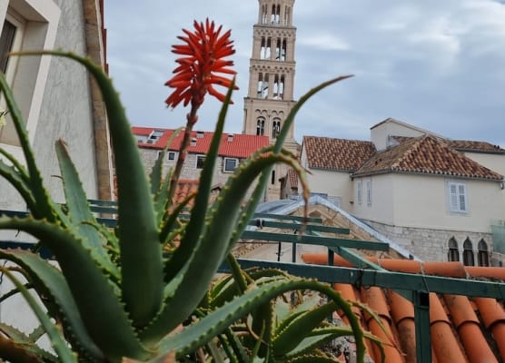Malena Palace Experience 1