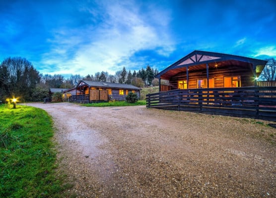 New Forest Lodges 1
