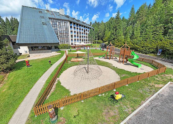 Wellness Hotel Svornost 1