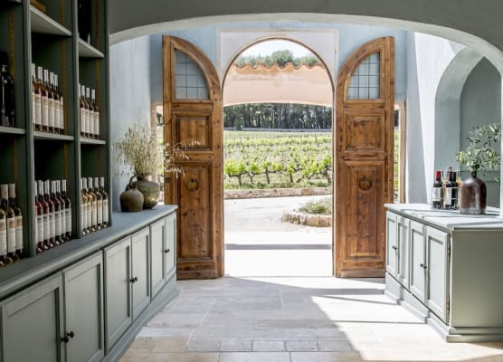 Domaine Rabiega - Vineyard and Boutique hotel 1