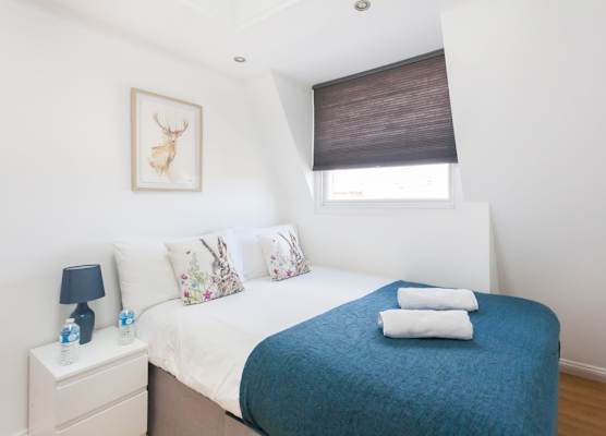 Euston Modern Apartments 1