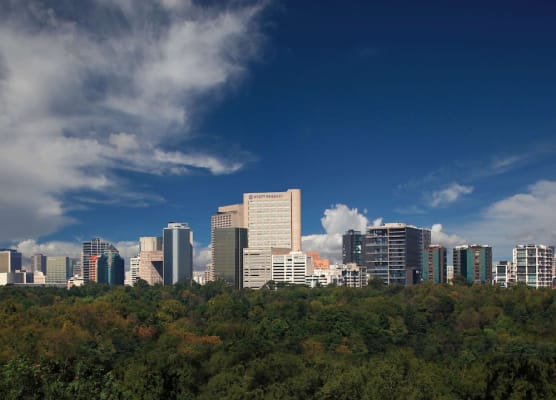 Hyatt Regency Mexico City 1