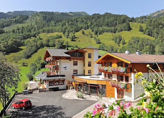 Feriendorf Ponyhof 1