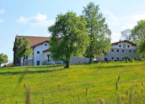 Naturhotel Gidibauer-Hof 1