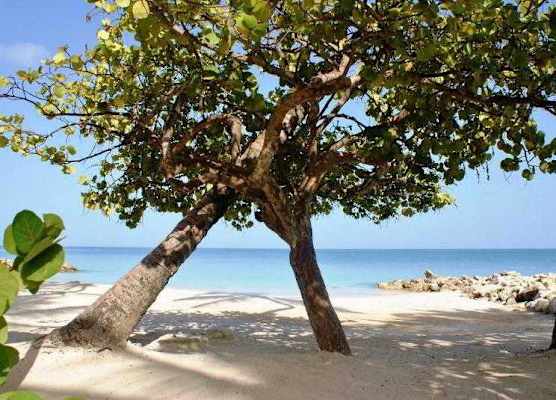 Siboney Beach Club 1