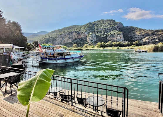Arp Dalyan 1