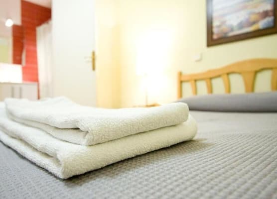 HOSTAL TREVINCA 1