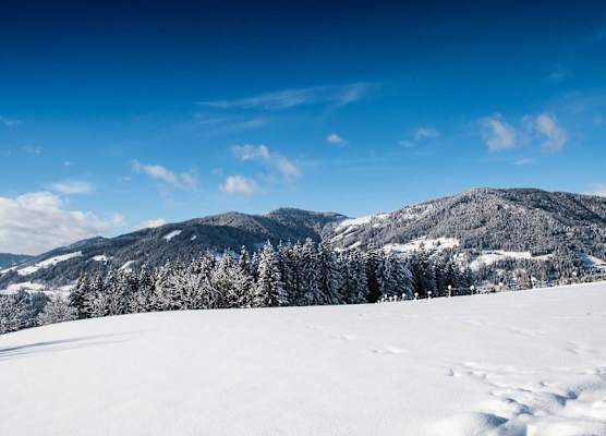 Hotel Alpenwelt Superior 1