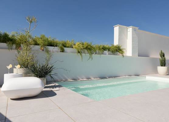 Mylu Suites by Puerta Catedral 1