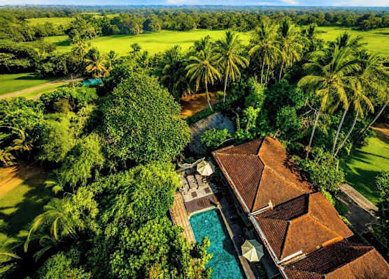 Tattva Ubud Retreat & Wellness 1