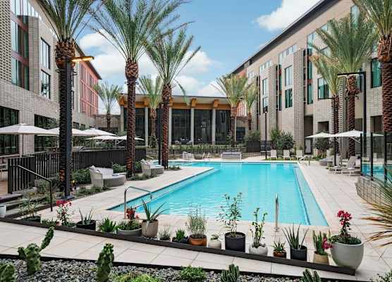 AC Hotel by Marriott Phoenix North Norterra 1