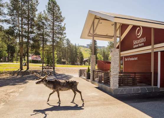 Lapland Hotels Sirkantähti 1