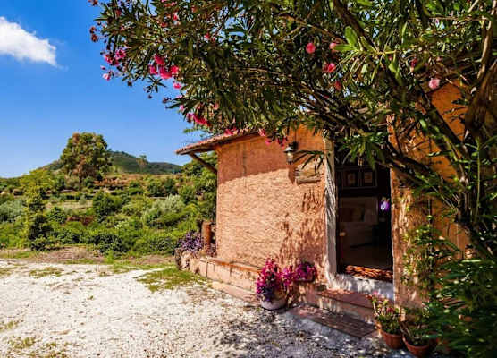 Villa Bonaccorso - antica e maestosa villa con piscina ai piedi dell'Etna 1