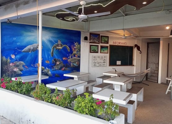 Sea Horse Guest House 1