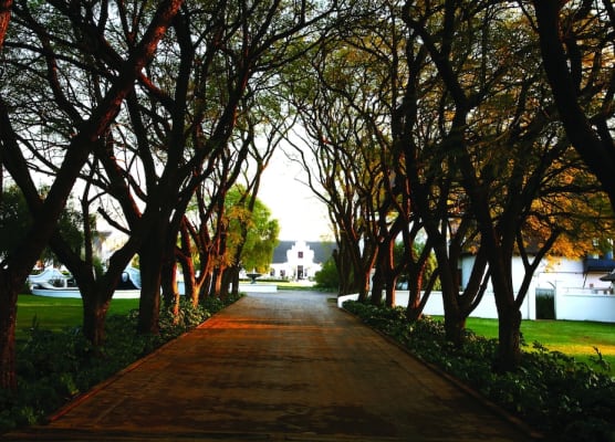Kievits Kroon Gauteng Wine Estate 1