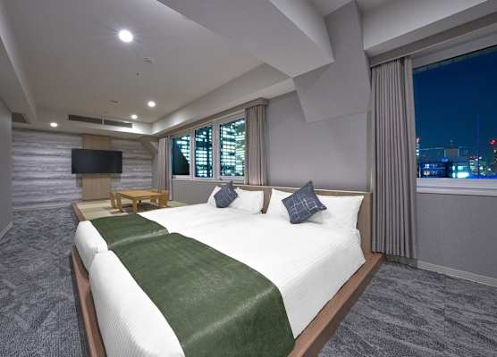 Villa Fontaine Tokyo Otemachi 1