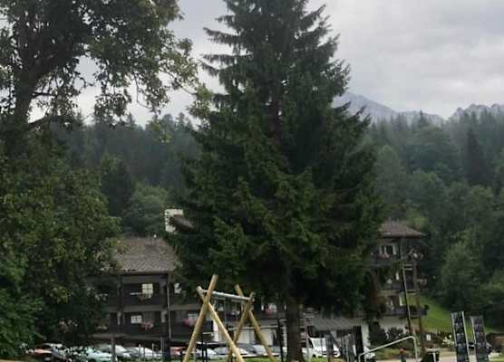 Alpenresidenz Buchenhöhe 1