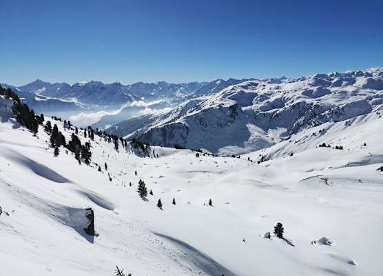 SCOL Sporthotel Zillertal 1