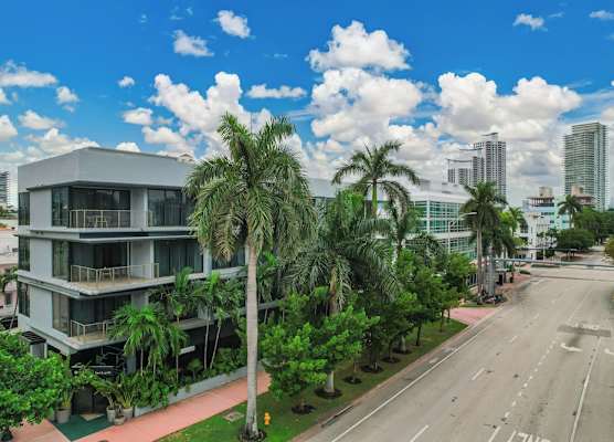 The March Hotel 1