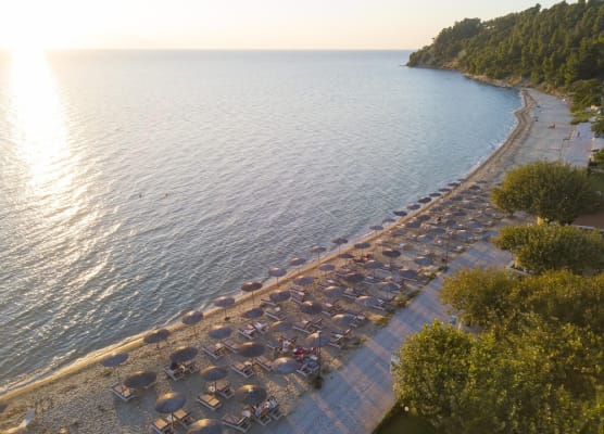Alkioni by the Sea Hotel 1