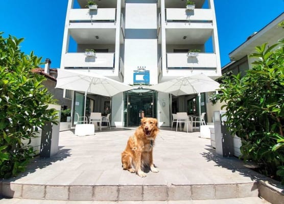 The One Hotel - Designed for Adults - Pet lovers 1