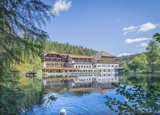 Hotel Langenwaldsee 1
