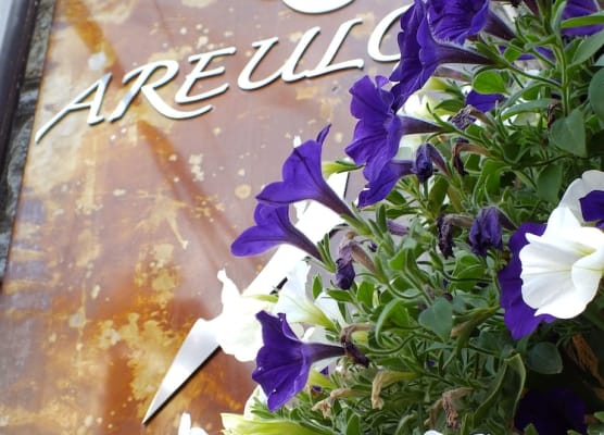Hotel Areulo 1