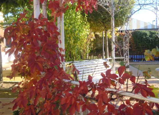 Hotel La Zubia 1